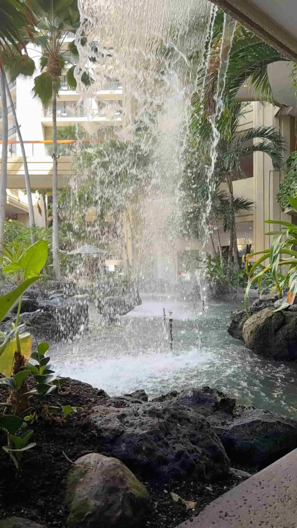 A calm indoor water garden — a quiet, restorative setting