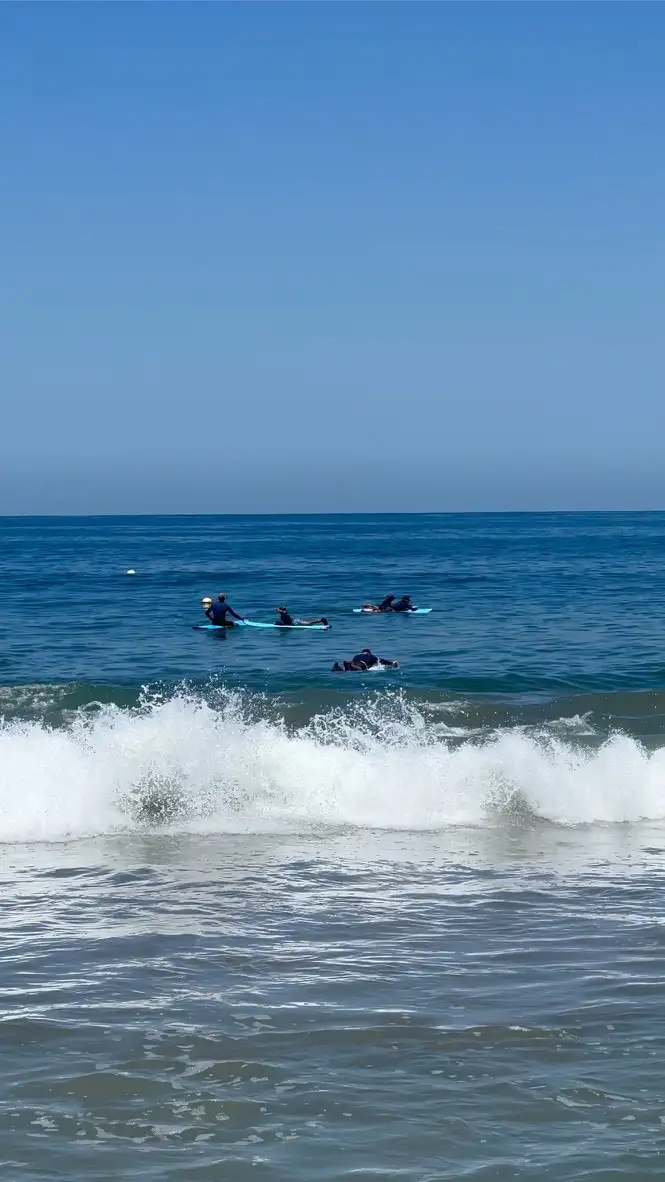 Surfers off a calm coastline
