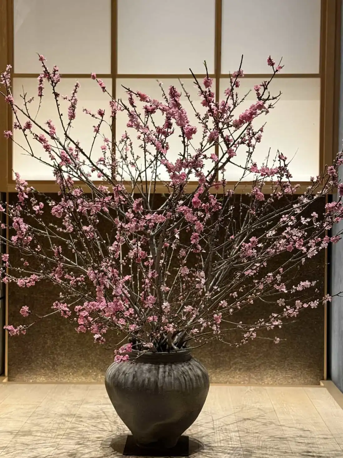 A quiet plum-blossom arrangement at a Universal Medical Group clinic