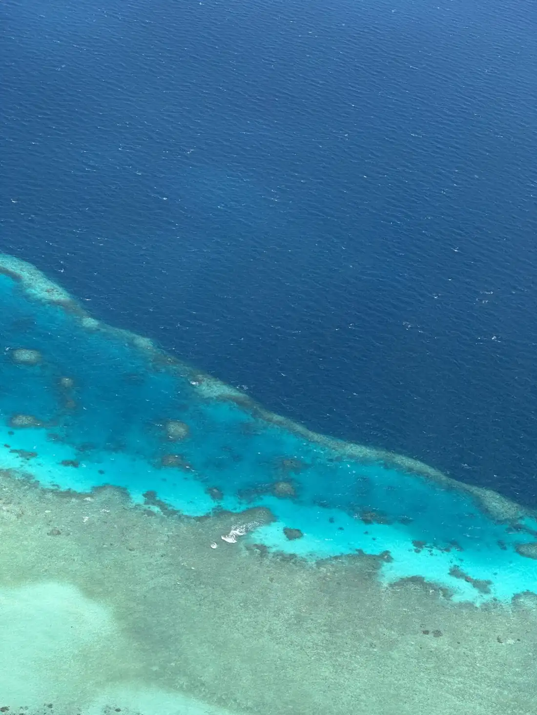 Aerial view of a tropical reef