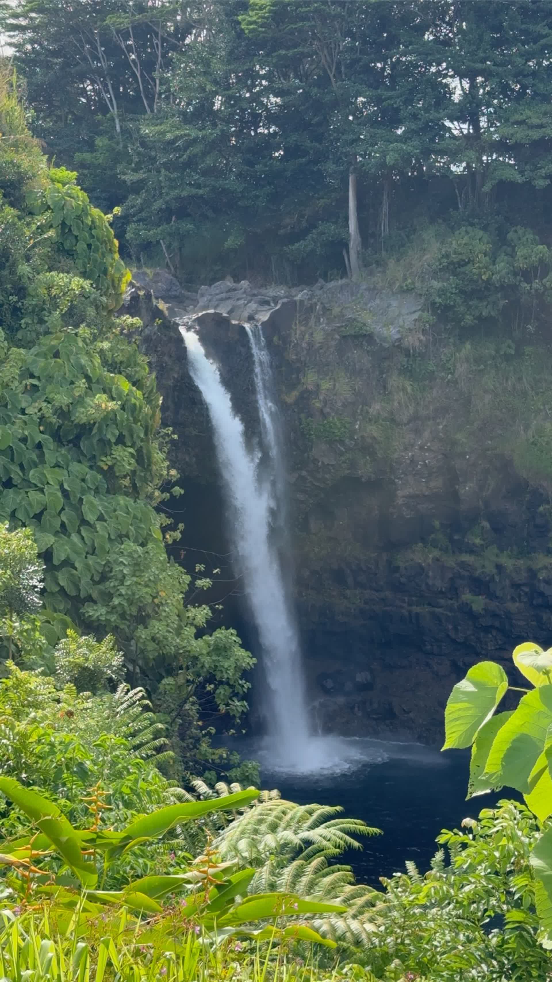 Pharmacogenomics and precision medicine